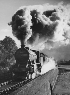 WJV Anderson print no. 11