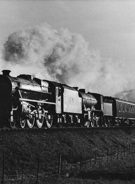 WJV Anderson print no. 2