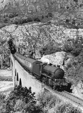 WJV Anderson print no. 20