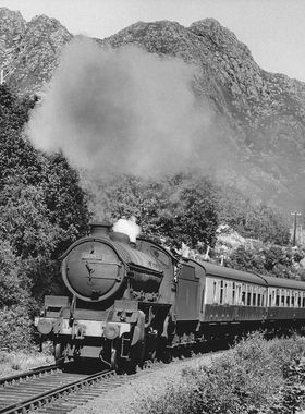 WJV Anderson print no. 21